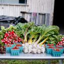 A pile of vegetables on a table 