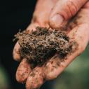 a hand holds a clump of soil