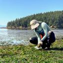  Olivia Graham examines a seagrass meadow at low tide on the San Juan Islands