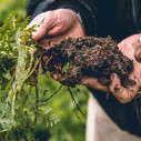 a handful of healthy soil