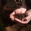 Two hands holding some soil