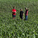 three people stand in corn field