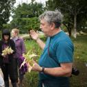 Professor and students tour a rainforest