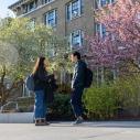 Students on the Ag Quad in spring