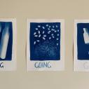 cyanotype triptych that says "going, going, gone"