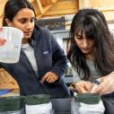 Two female students hold plastic containers and examine circuitry. 