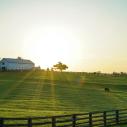 A white farm house with the sun shining behind it and a pasture in front with a grazing animal
