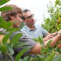 Greg Peck and a student are inspecting apples at the orchards