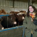 a woman stands in a cow barn