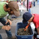Two people look at a vermicompost box