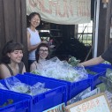 Students around bins of fresh produce