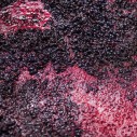 Grape Pomace
