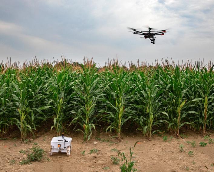 Ground robot and drone monitoring crops in field