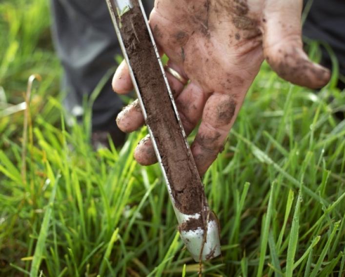 person taking soil sample