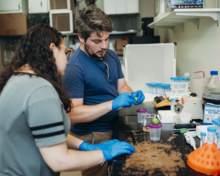 Students working in a lab