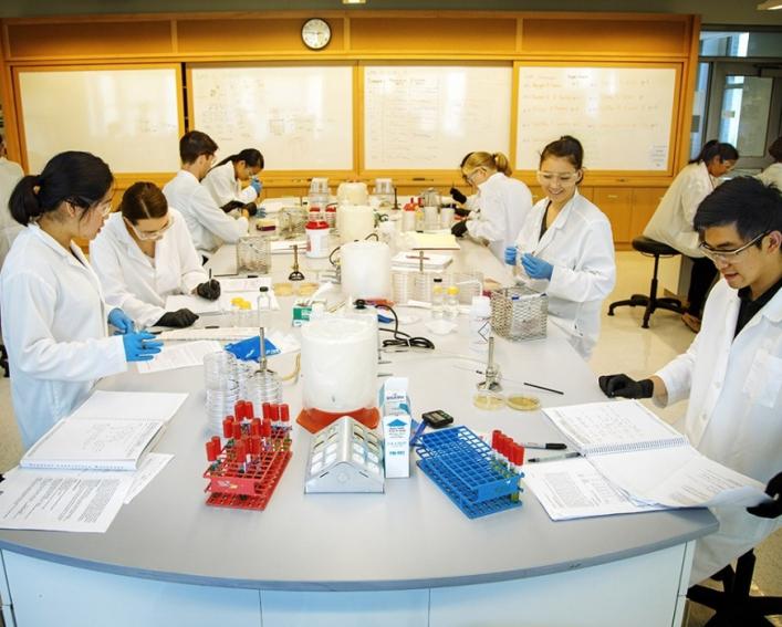 Students working in a lab