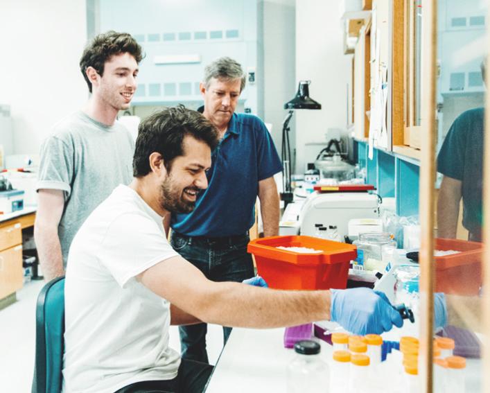 graduate students doing research