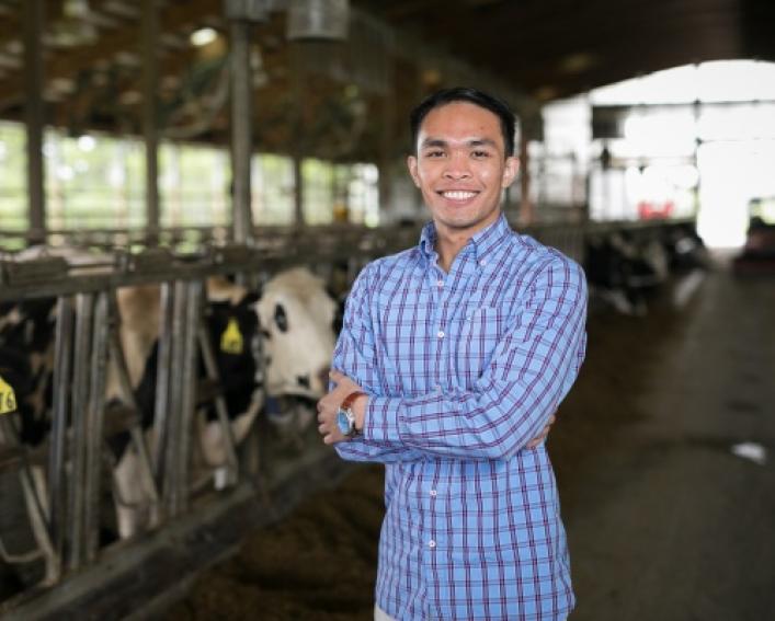 student joseph tarnate working with cows and dairy.