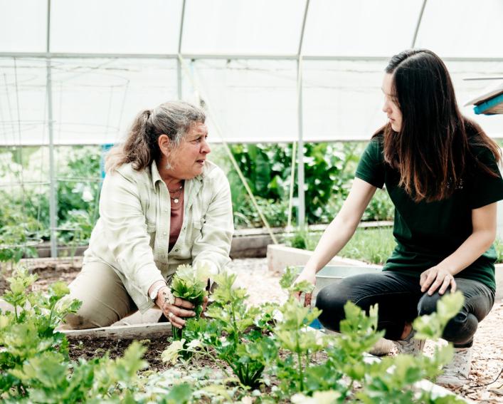 Student and CALS faculty member planting in a greenhouse