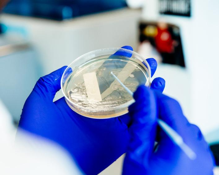 food testing in lab