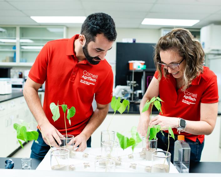 Two people inspecting plants in lab setting.