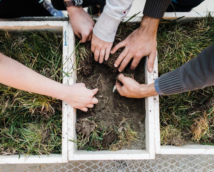 hands in soil
