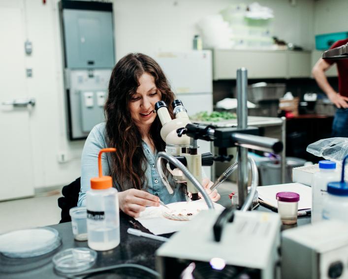 A female graduate student works at a microscope