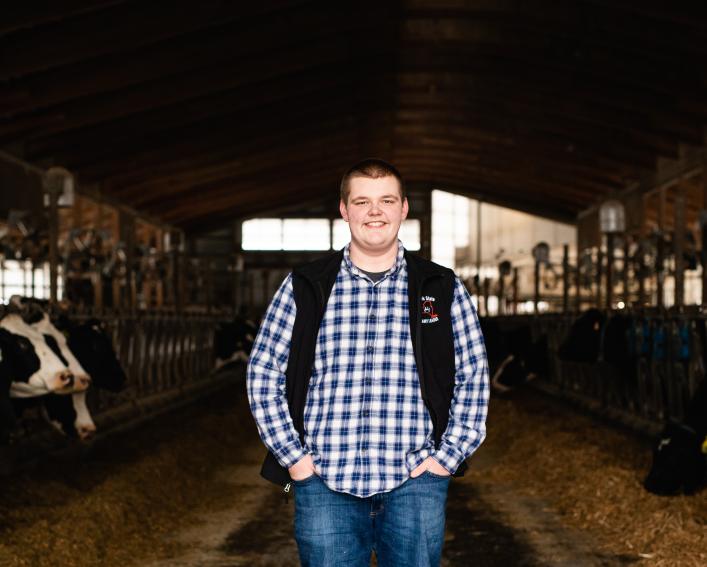 A male standing in the middle of a dairy barn