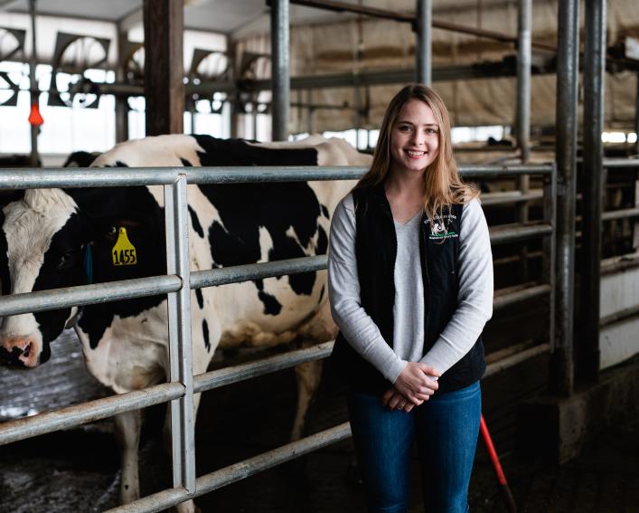 A female standing in a barn in front of a cow 
