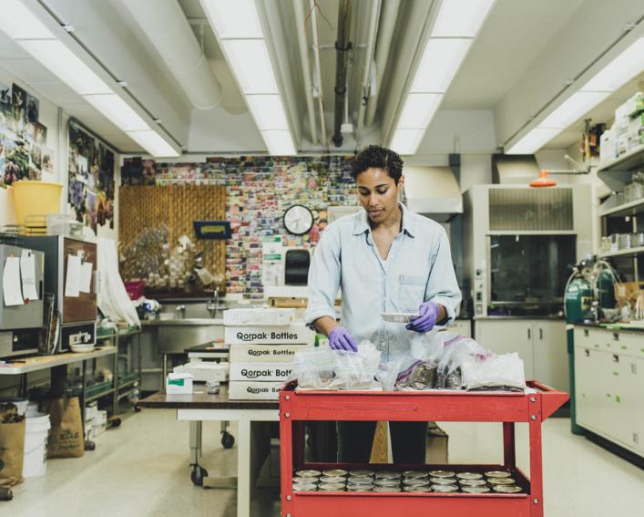 Graduate student Sue Pierre researches soils in a lab.