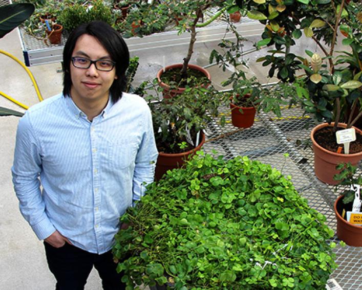 Plant Science Alum Jeffrey Yen in the Liberty Hyde Bailey Conservatory