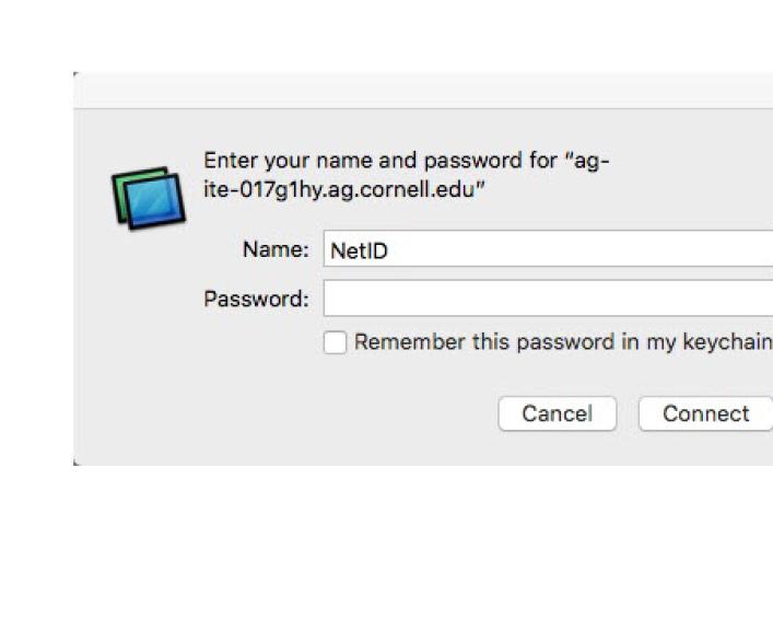 Screen capture of Connect to Server authorization prompt