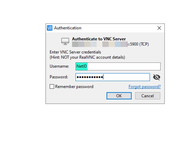 Screen capture of VNC Viewer authorization prompt.