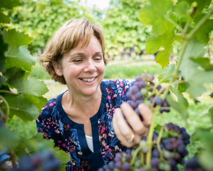 Justin Vanden Heuvel stands in grape orchard