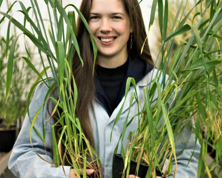 Woman holding wheat in a lab
