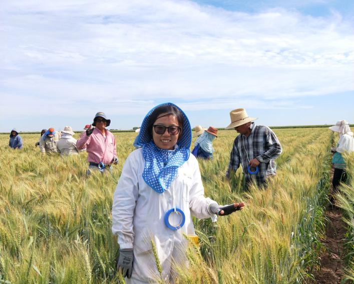 Woman in wheat field