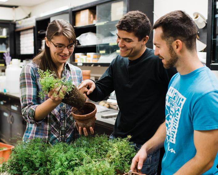 three people examining plants in a lab