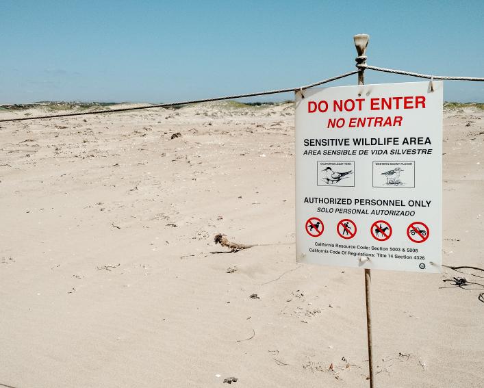 Warning sign on beach dune that reads "Do Not Enter"