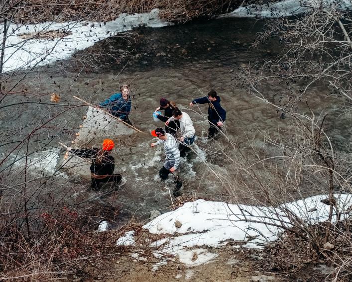 Students seining river