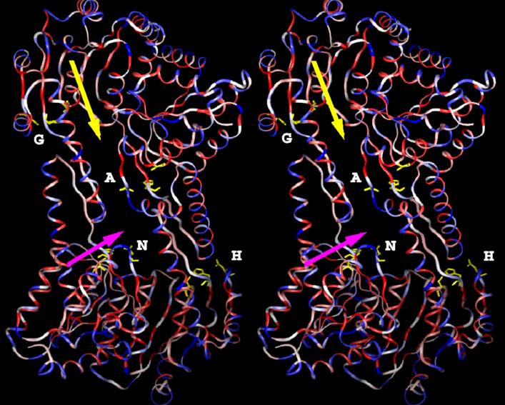 illustration of a protein structure from the van Wijk lab