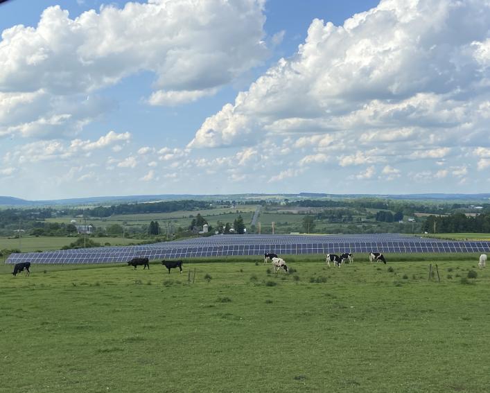 Dryden solar farm