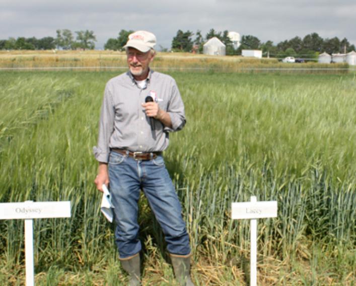 man standing in a barley field