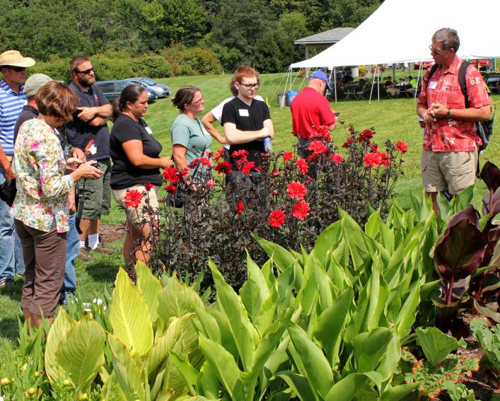 poeple standing behind outdoor flower beds