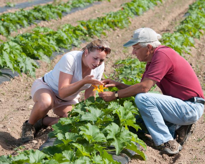 two people in a field of greens