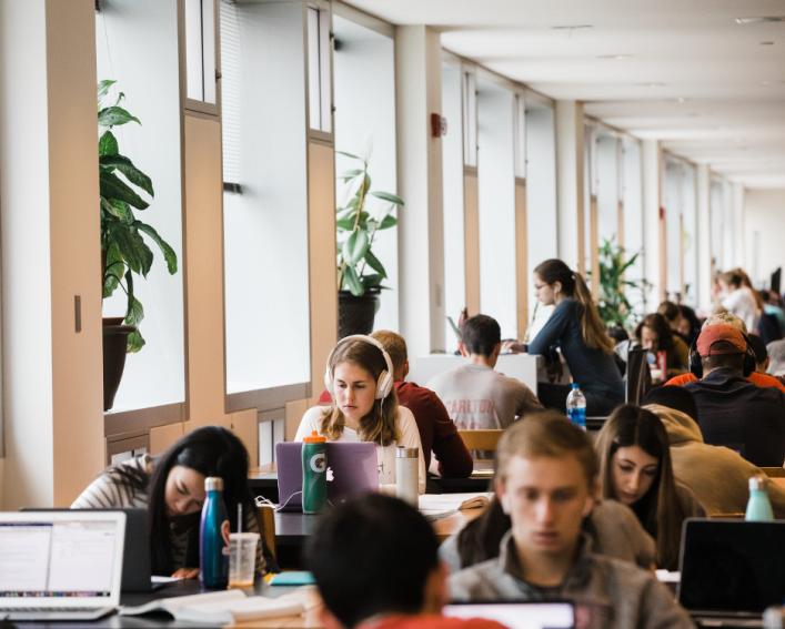 Students work in Mann Library