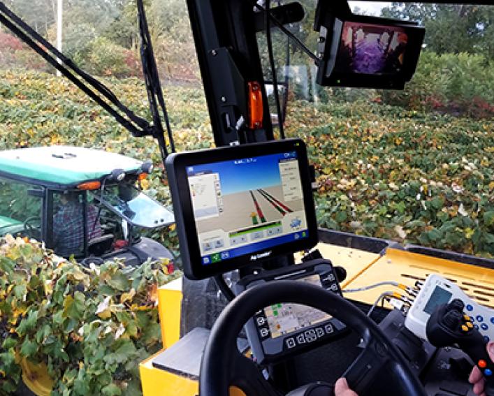 Sensor measures grape crop load