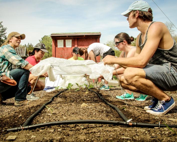 students exploring climate change garden at Cornell Botanic Gardens