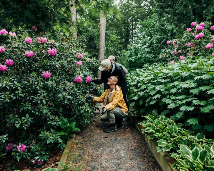 Student showing rhododendron blooms to others