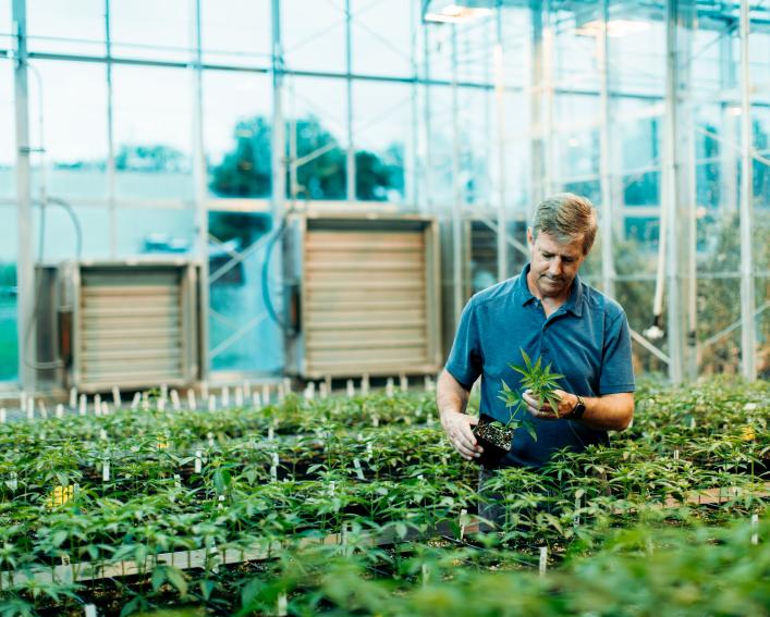 larry smart with hemp seedlings in greenhouse