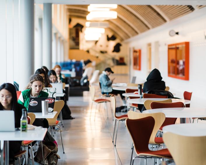 students sit at tables in an open space